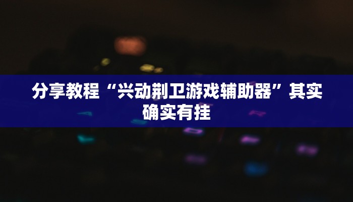 分享教程“兴动荆卫游戏辅助器”其实确实有挂