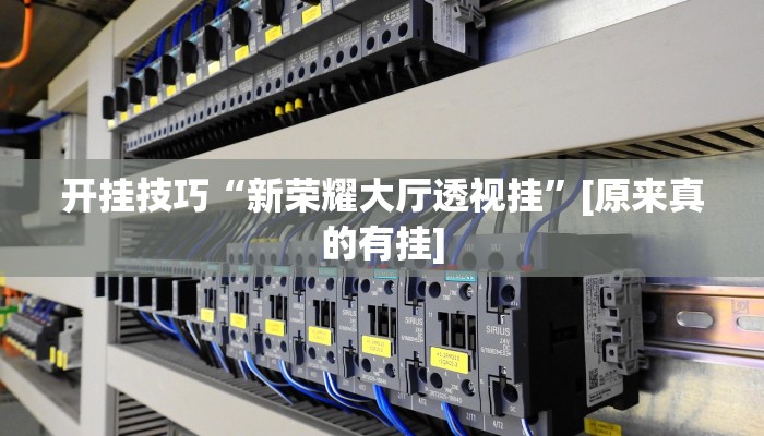 开挂技巧“新荣耀大厅透视挂”[原来真的有挂]