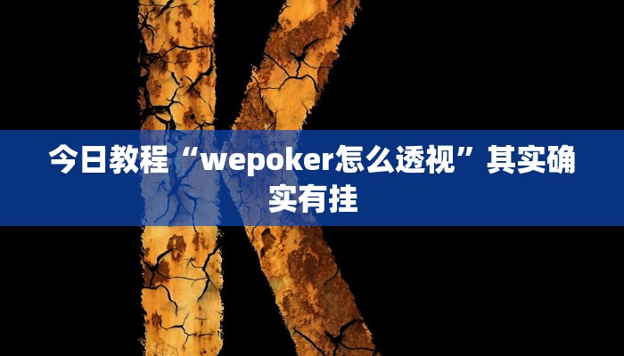 今日教程“wepoker怎么透视”其实确实有挂