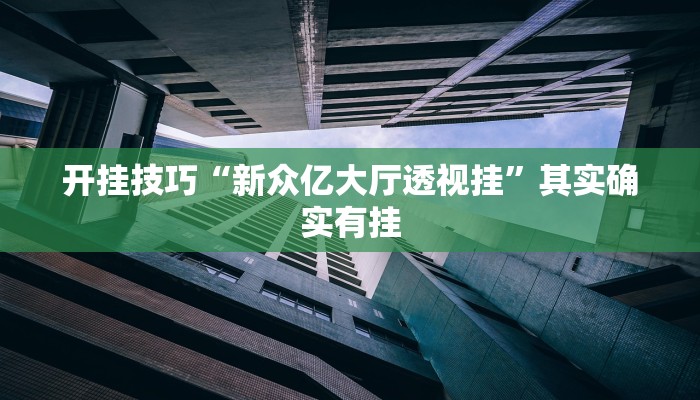 辅助神器“新漫游牛牛透视软件”(详细开挂教程)