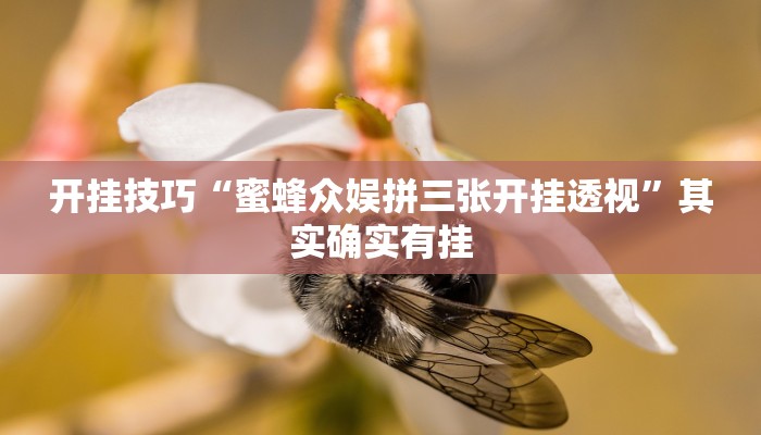 开挂技巧“蜜蜂众娱拼三张开挂透视”其实确实有挂