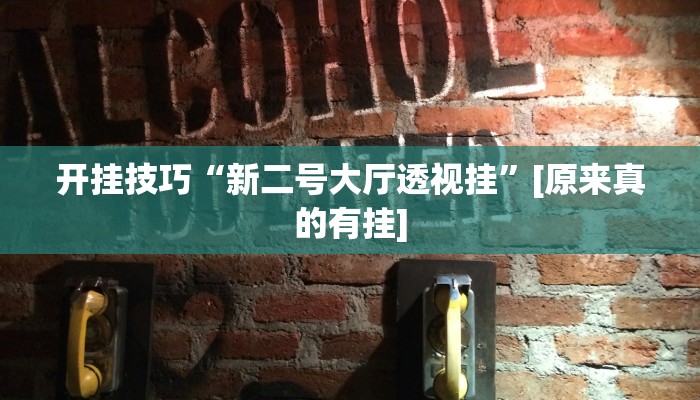 开挂器推荐“浙江游戏大厅做弊神器”开挂(透视)辅助教程