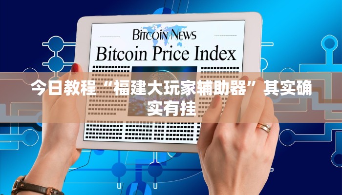 今日教程“福建大玩家辅助器”其实确实有挂