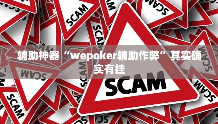辅助神器“wepoker辅助作弊”其实确实有挂