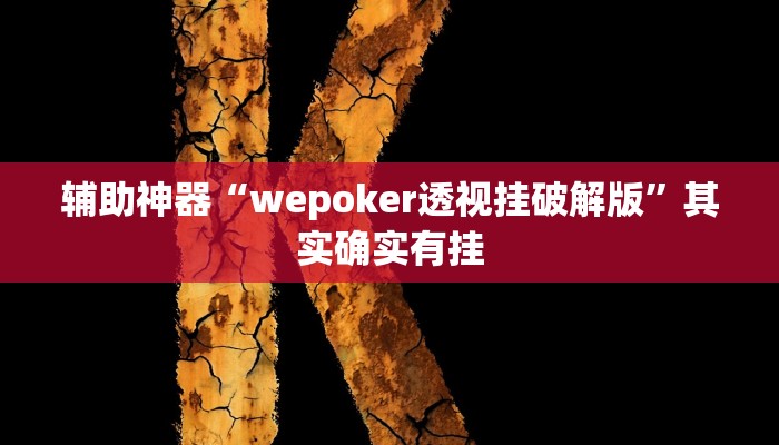 辅助神器“wepoker透视挂破解版”其实确实有挂