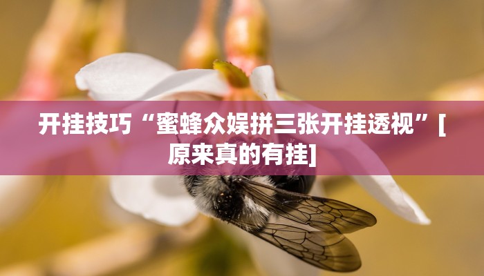 开挂技巧“蜜蜂众娱拼三张开挂透视”[原来真的有挂]