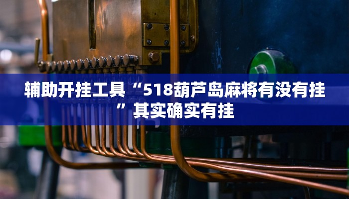 辅助神器“呗兔麻将万能开挂器”其实确实有挂