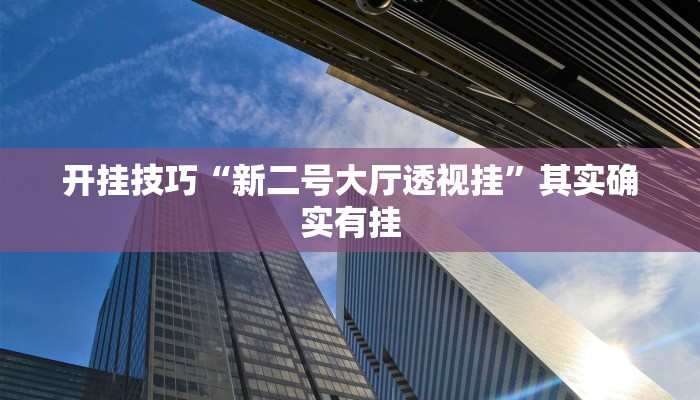 开挂技巧“新二号大厅透视挂”其实确实有挂