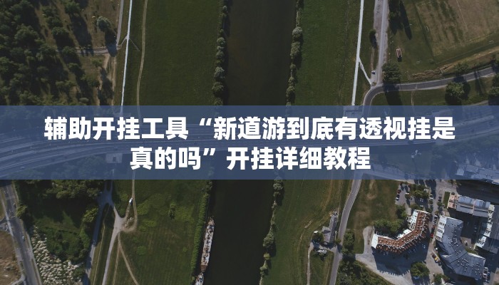辅助开挂工具“新道游到底有透视挂是真的吗”开挂详细教程