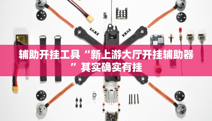 辅助开挂工具“新上游大厅开挂辅助器”其实确实有挂