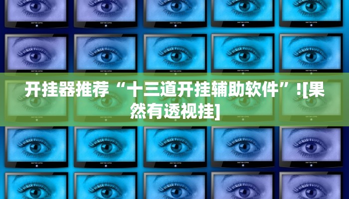 开挂器推荐“十三道开挂辅助软件”![果然有透视挂]