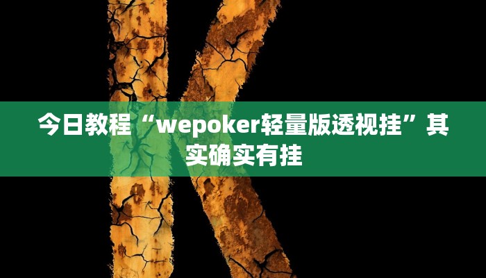 教程分享“wepokerapp透视挂下载”开挂详细教程