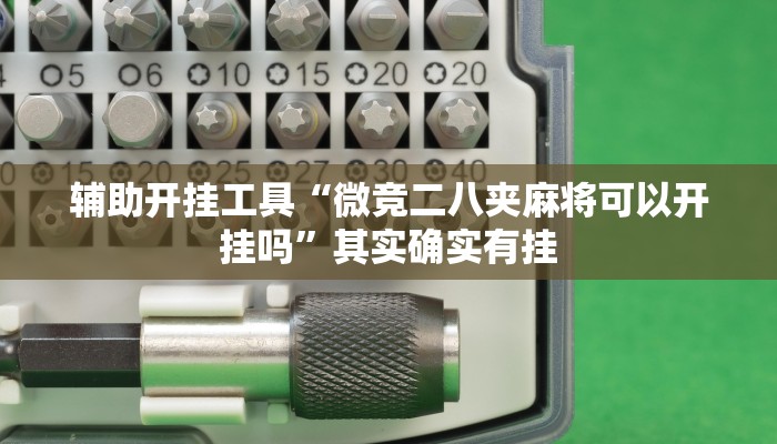 辅助开挂工具“黑侠破解棋牌透视”开挂(透视)辅助神器