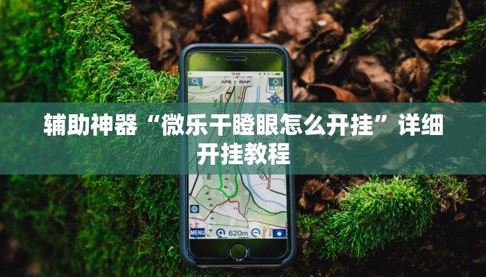 辅助神器“微乐干瞪眼怎么开挂”详细开挂教程