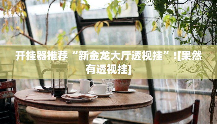 开挂器推荐“新金龙大厅透视挂”![果然有透视挂]