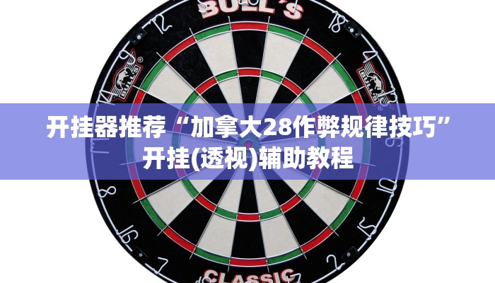 开挂器推荐“加拿大28作弊规律技巧”开挂(透视)辅助教程