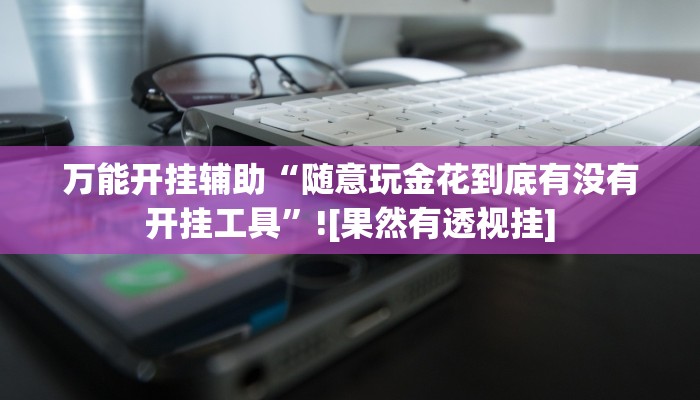 辅助开挂工具“德扑之星开挂透视神器”开挂(透视)辅助神器