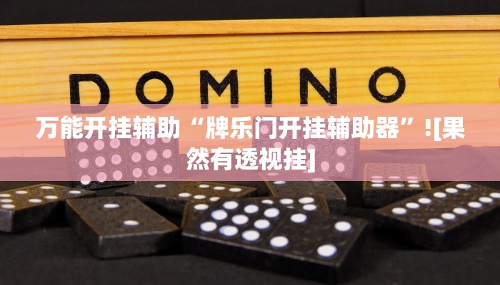 辅助神器“广西八一字牌辅助神器”详细开挂教程