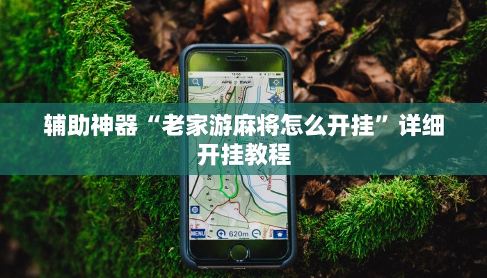 辅助神器“老家游麻将怎么开挂”详细开挂教程