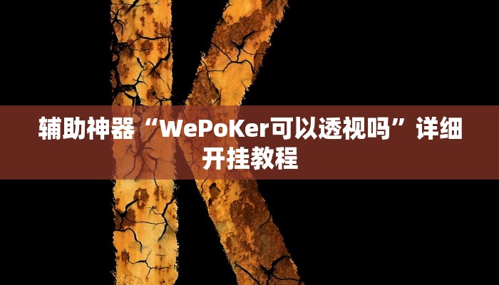 辅助神器“WePoKer可以透视吗”详细开挂教程