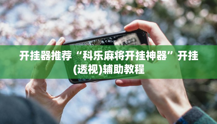 分享教程“天天跑得快开挂神器下载安装”其实确实有挂