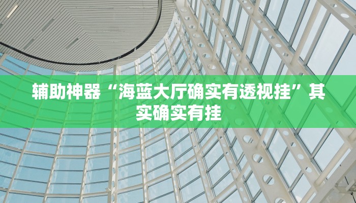 辅助神器“海蓝大厅确实有透视挂”其实确实有挂