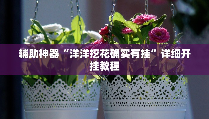 辅助神器“洋洋挖花确实有挂”详细开挂教程
