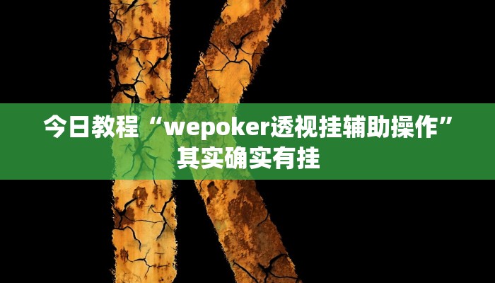 今日教程“wepoker透视挂辅助操作”其实确实有挂