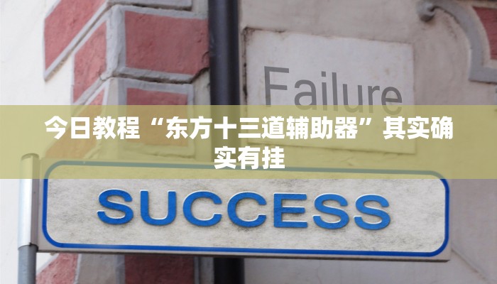 今日教程“东方十三道辅助器”其实确实有挂
