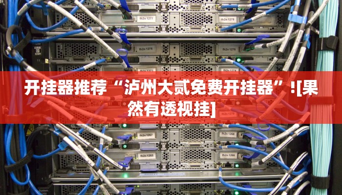 开挂器推荐“泸州大贰免费开挂器”![果然有透视挂]