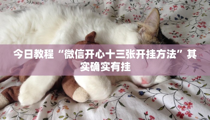 今日教程“战麻将开挂软件方法”(详细开挂教程)