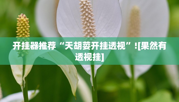 开挂器推荐“天胡荽开挂透视”![果然有透视挂]