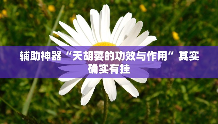 辅助开挂工具“微乐山西麻将开挂神器”其实确实有挂