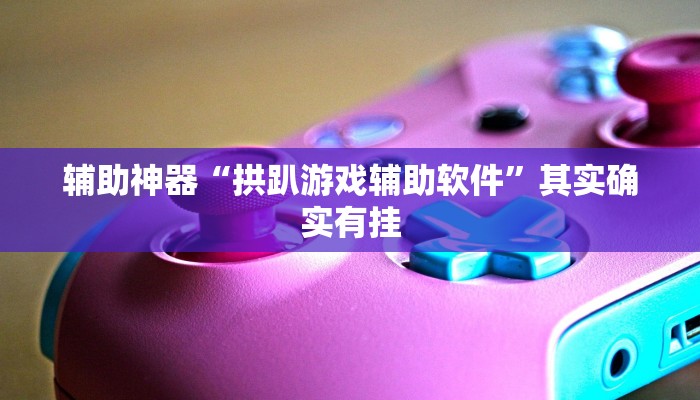 辅助神器“拱趴游戏辅助软件”其实确实有挂