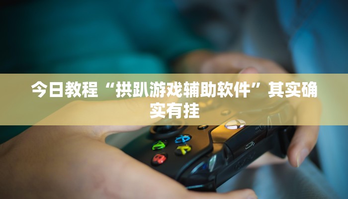 今日教程“拱趴游戏辅助软件”其实确实有挂