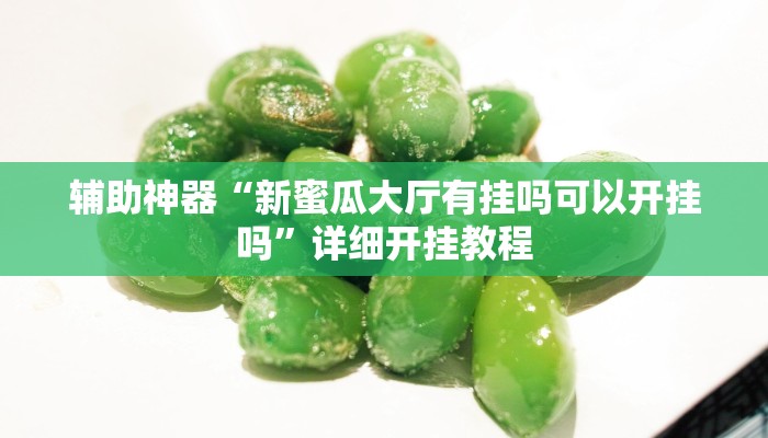 重磅消息“玄龙二厅究竟可以开挂吗”(详细开挂教程)