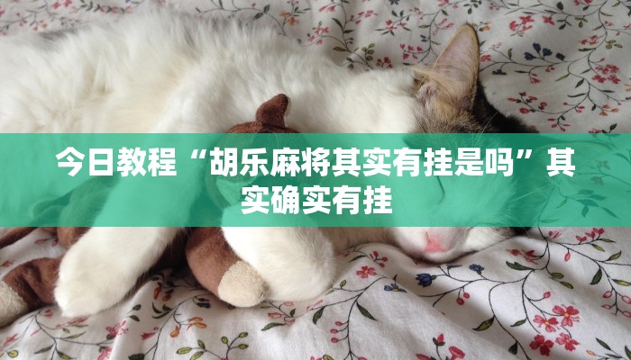 今日教程“科乐长春麻将可以开挂吗”(详细开挂教程)