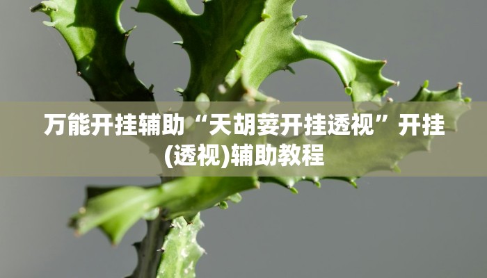万能开挂辅助“天胡荽开挂透视”开挂(透视)辅助教程
