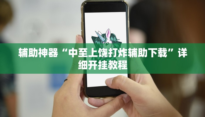 辅助神器“中至上饶打炸辅助下载”详细开挂教程