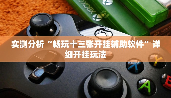 实测分析“畅玩十三张开挂辅助软件”详细开挂玩法