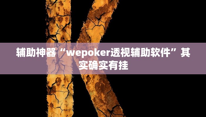 辅助神器“wepoker透视辅助软件”其实确实有挂