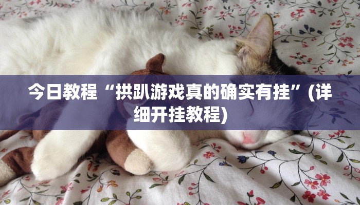 今日教程“拱趴游戏真的确实有挂”(详细开挂教程)