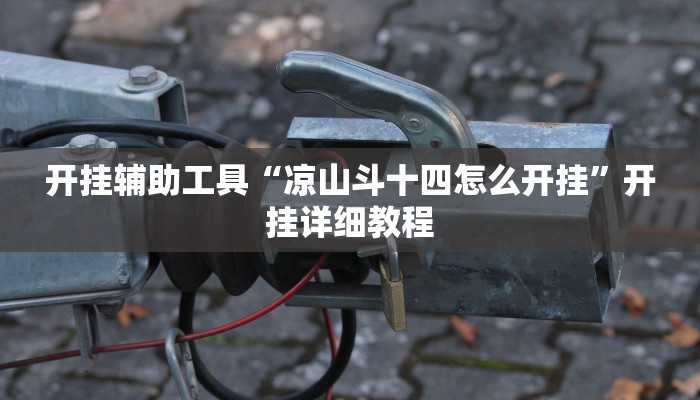 开挂辅助工具“凉山斗十四怎么开挂”开挂详细教程