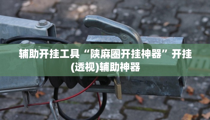 教程辅助“微乐陕西三代透视”(原来确实是有挂)