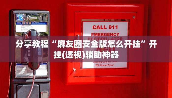 辅助神器“凉山跑得快怎么透视”(详细开挂教程)