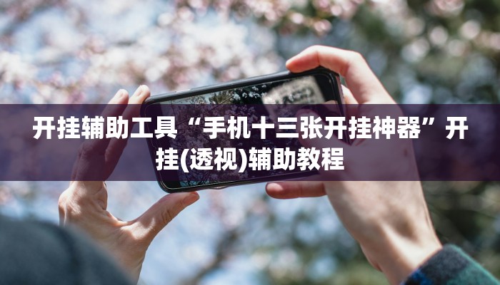 开挂辅助工具“手机十三张开挂神器”开挂(透视)辅助教程