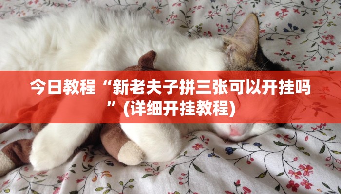 今日教程“新老夫子拼三张可以开挂吗”(详细开挂教程)