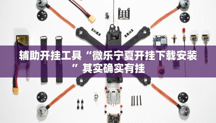 辅助开挂工具“微乐宁夏开挂下载安装”其实确实有挂