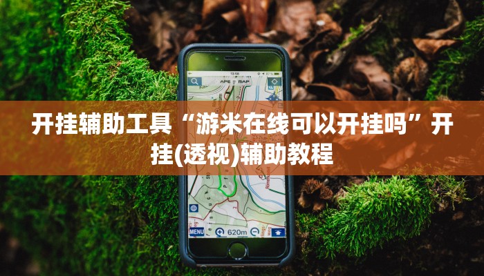 玩家必备攻略“皇后大厅透视”(详细开挂教程)