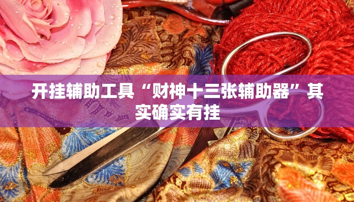 开挂辅助工具“财神十三张辅助器”其实确实有挂